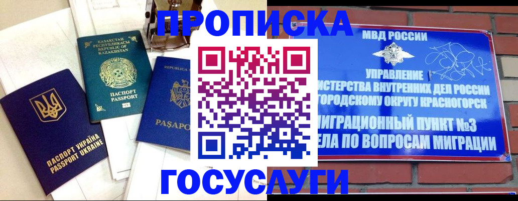 купить прописку в Пушкино